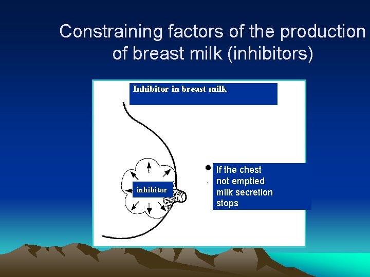 Constraining factors of the production of breast milk (inhibitors) Inhibitor in breast milk inhibitor