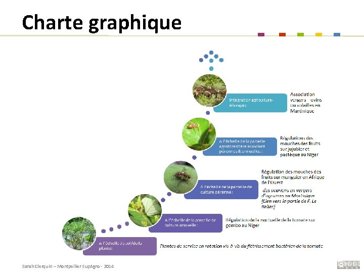 Charte graphique Sarah Clerquin – Montpellier Sup. Agro - 2014 