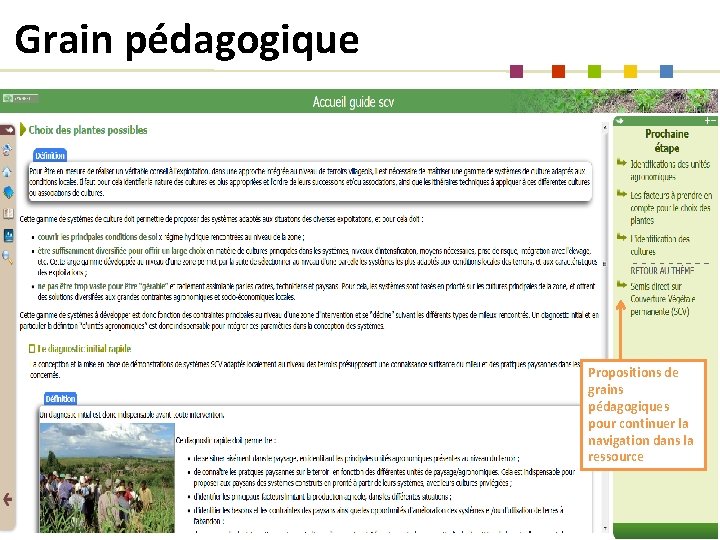 Grain pédagogique Propositions de grains pédagogiques pour continuer la navigation dans la ressource Sarah
