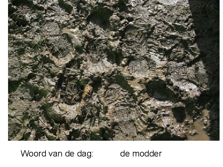 Woord van de dag: de modder 