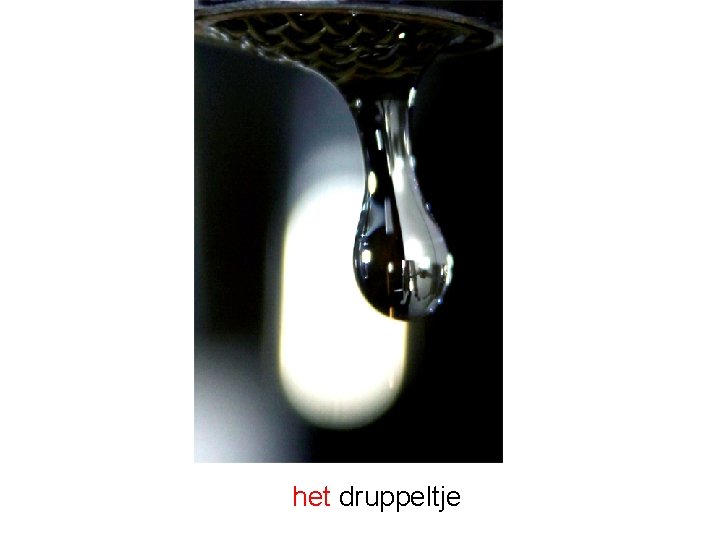 het druppeltje 