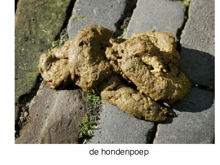 de hondenpoep 