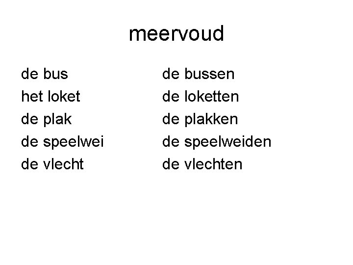 meervoud de bus het loket de plak de speelwei de vlecht de bussen de