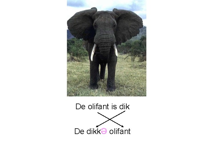 De olifant is dik De dikkə olifant 