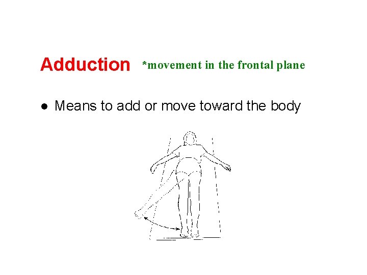 Adduction l *movement in the frontal plane Means to add or move toward the