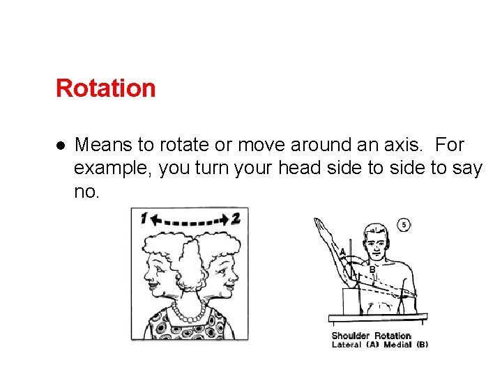 Rotation l Means to rotate or move around an axis. For example, you turn