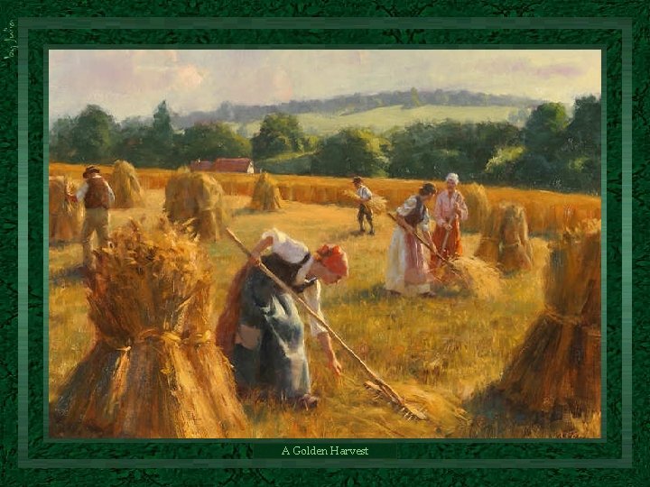 A Golden Harvest A Golden Harvest