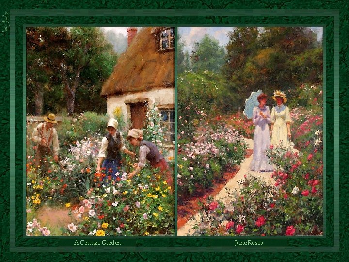 A Cottage Garden June Roses A Cottage Garden June Roses