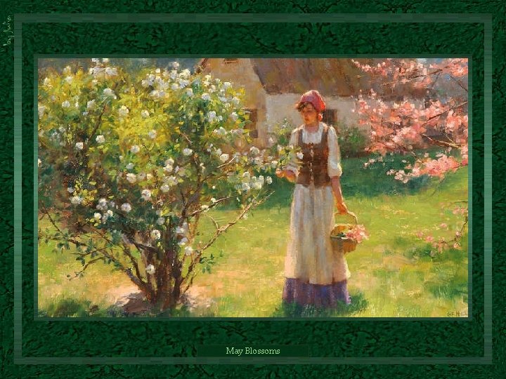 May Blossoms May Blossoms