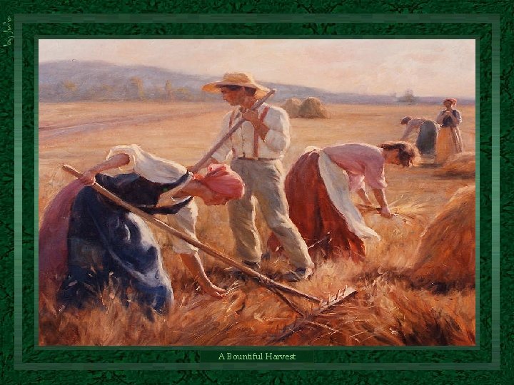A Bountiful Harvest A Bountiful Harvest