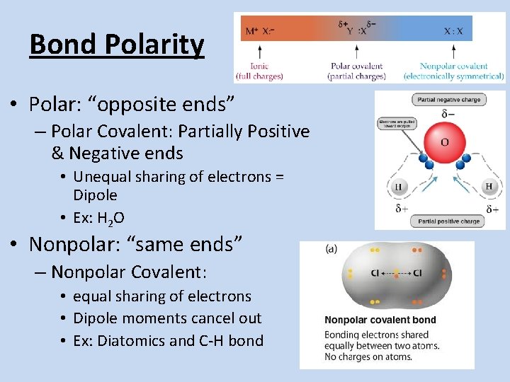Bond Polarity • Polar: “opposite ends” – Polar Covalent: Partially Positive & Negative ends