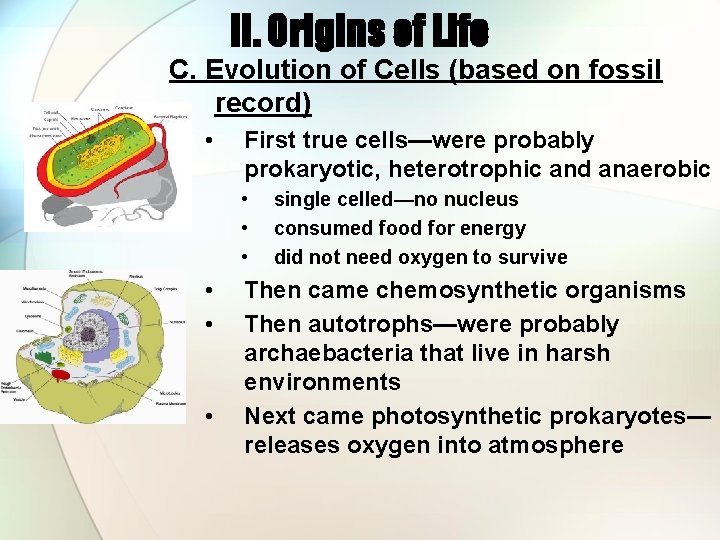 II. Origins of Life C. Evolution of Cells (based on fossil record) • First