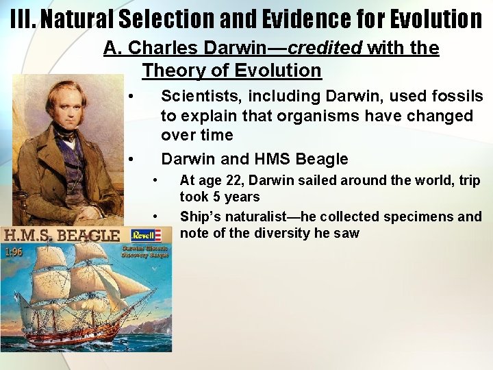 III. Natural Selection and Evidence for Evolution A. Charles Darwin—credited with the Theory of