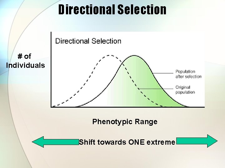 Directional Selection # of Individuals Phenotypic Range Shift towards ONE extreme 