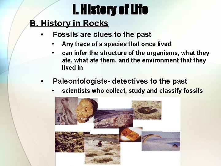 I. History of Life B. History in Rocks • Fossils are clues to the