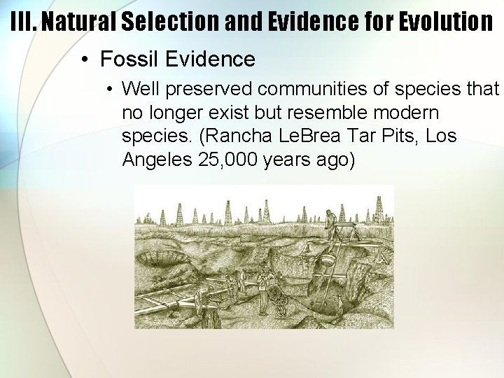 III. Natural Selection and Evidence for Evolution • Fossil Evidence • Well preserved communities