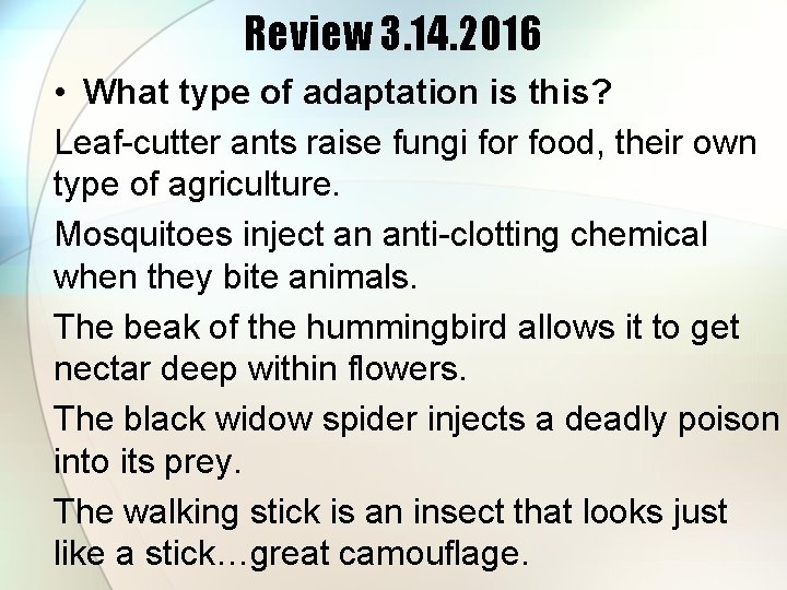 Review 3. 14. 2016 • What type of adaptation is this? Leaf-cutter ants raise