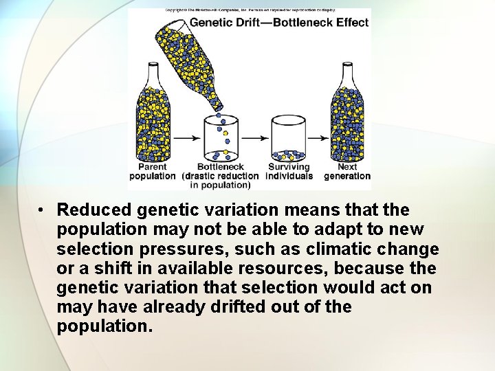  • Reduced genetic variation means that the population may not be able to