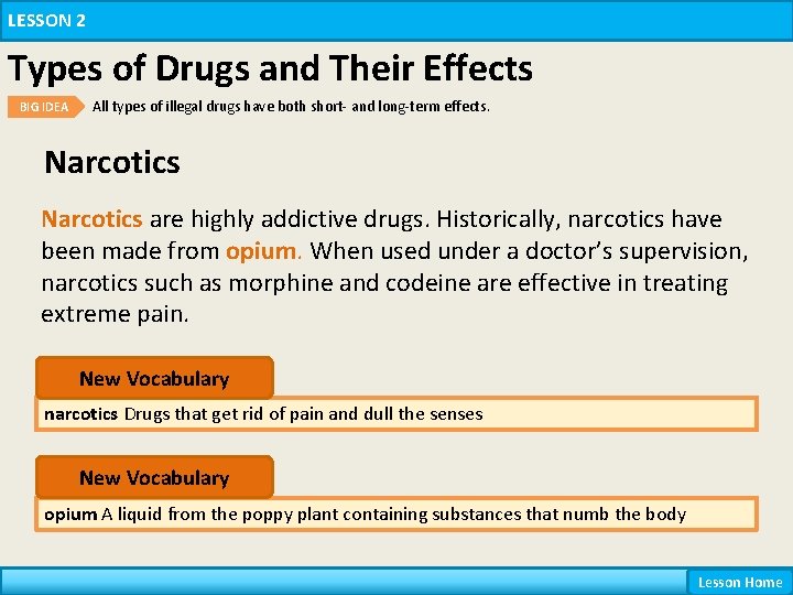 LESSON 2 Types of Drugs and Their Effects BIG IDEA All types of illegal LESSON 2 Types of Drugs and Their Effects BIG IDEA All types of illegal