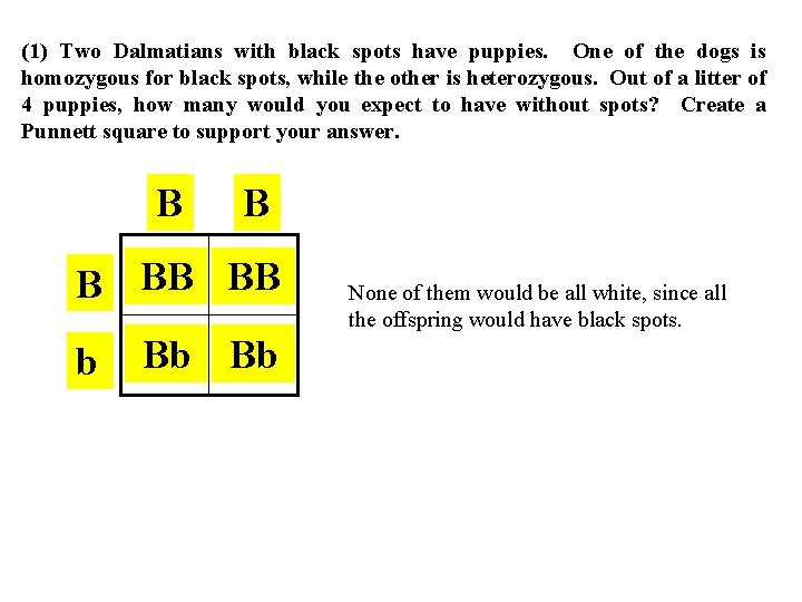 (1) Two Dalmatians with black spots have puppies. One of the dogs is homozygous