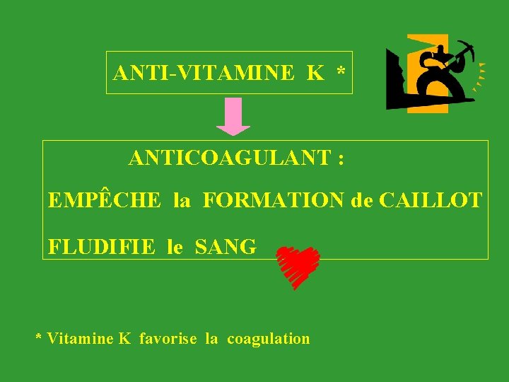 ANTI-VITAMINE K * ANTICOAGULANT : EMPÊCHE la FORMATION de CAILLOT FLUDIFIE le SANG *