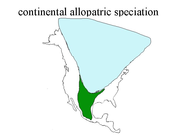 continental allopatric speciation 