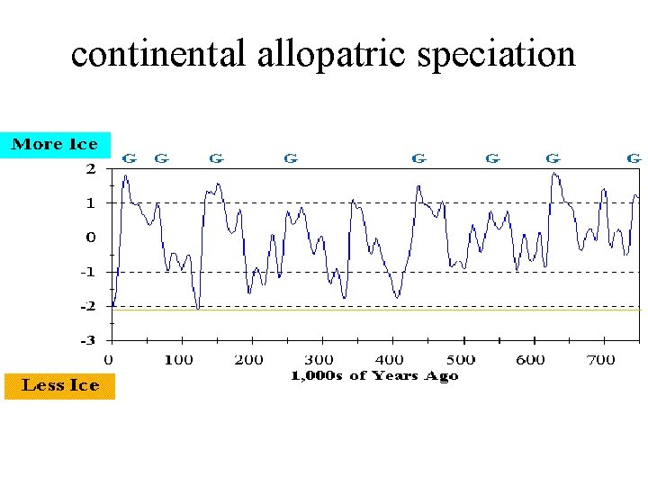 continental allopatric speciation 