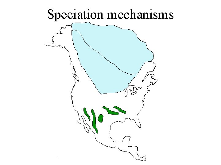 Speciation mechanisms 