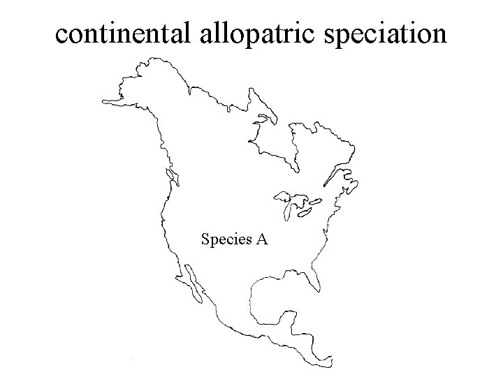 continental allopatric speciation Species A 