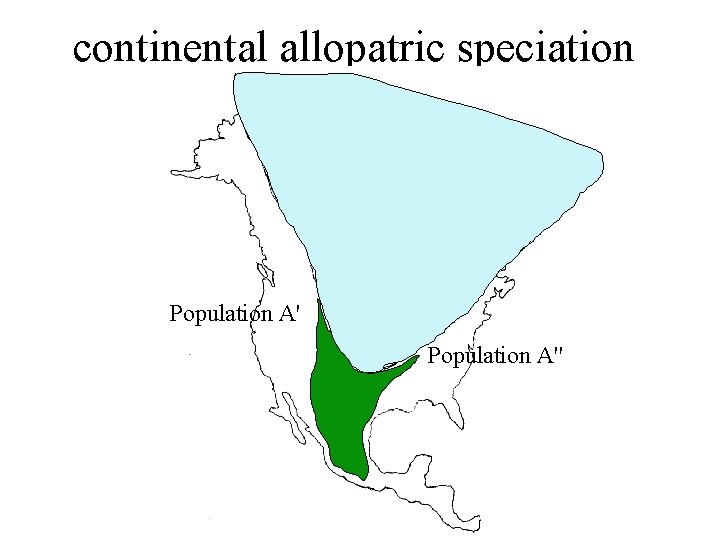 continental allopatric speciation Population A'' 