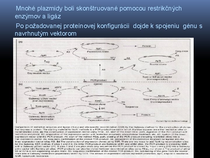  Mnohé plazmidy boli skonštruované pomocou restrikčných enzýmov a ligáz Po požadovanej proteínovej konfigurácii