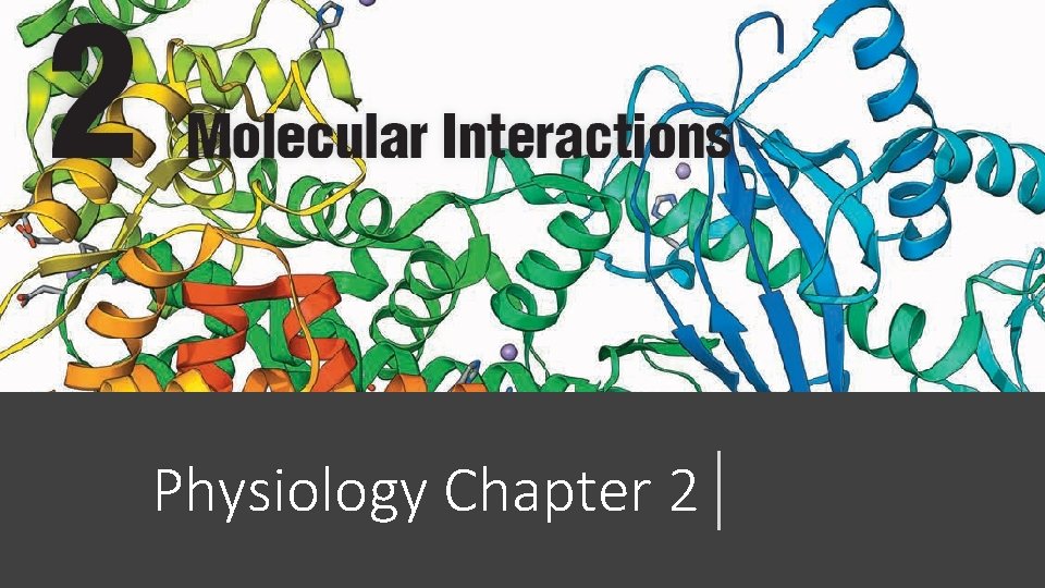 Physiology Chapter 2 