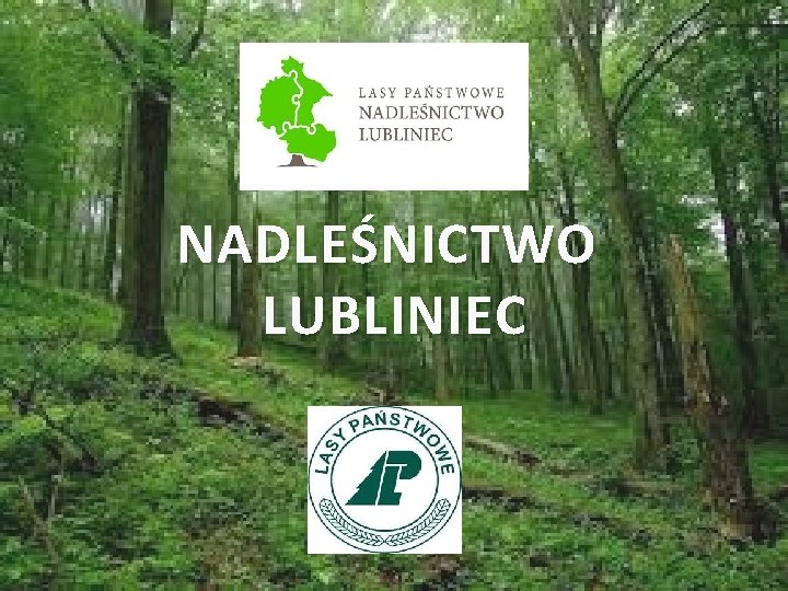 NADLEŚNICTWO LUBLINIEC 