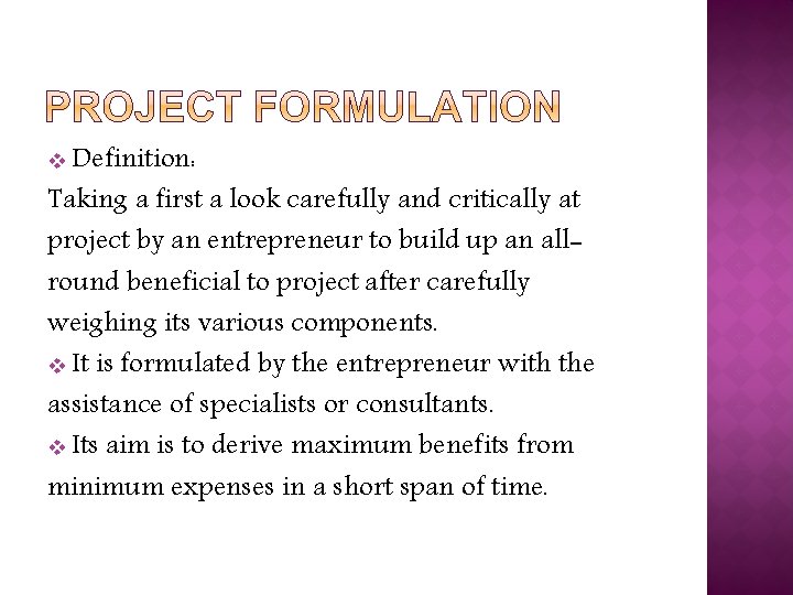 v Definition: Taking a first a look carefully and critically at project by an