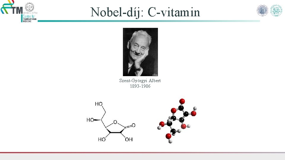 Nobel-díj: C-vitamin Szent-Györgyi Albert 1893 -1986 