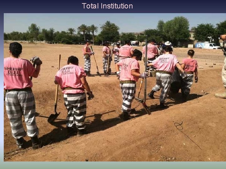 Total Institution Total Institution
