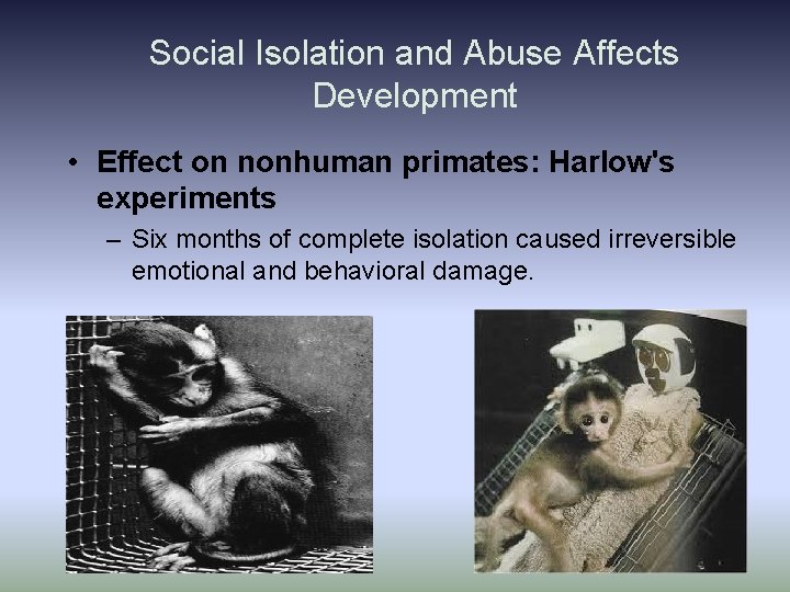 Social Isolation and Abuse Affects Development • Effect on nonhuman primates: Harlow's experiments – Social Isolation and Abuse Affects Development • Effect on nonhuman primates: Harlow's experiments –
