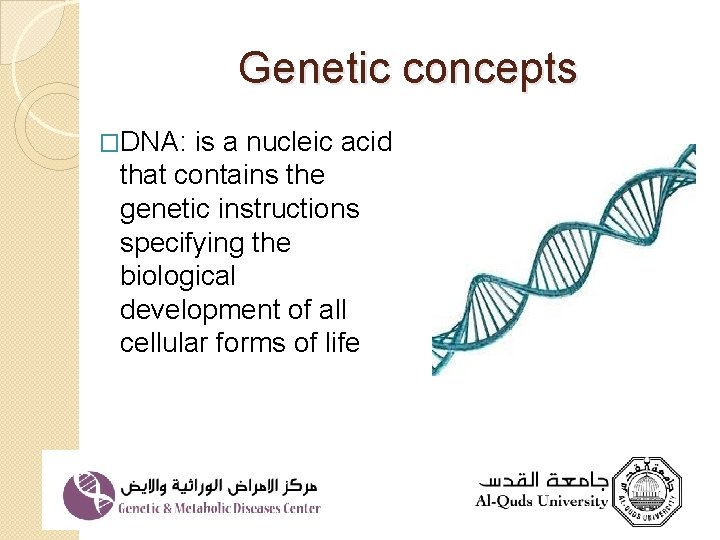 Genetic concepts �DNA: is a nucleic acid that contains the genetic instructions specifying the