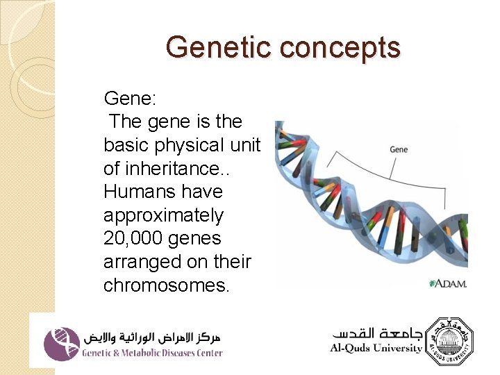 Genetic concepts Gene: The gene is the basic physical unit of inheritance. . Humans