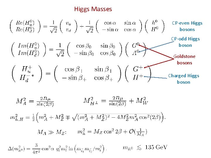 Higgs Masses CP-even Higgs bosons CP-odd Higgs boson Goldstone bosons Charged Higgs boson 
