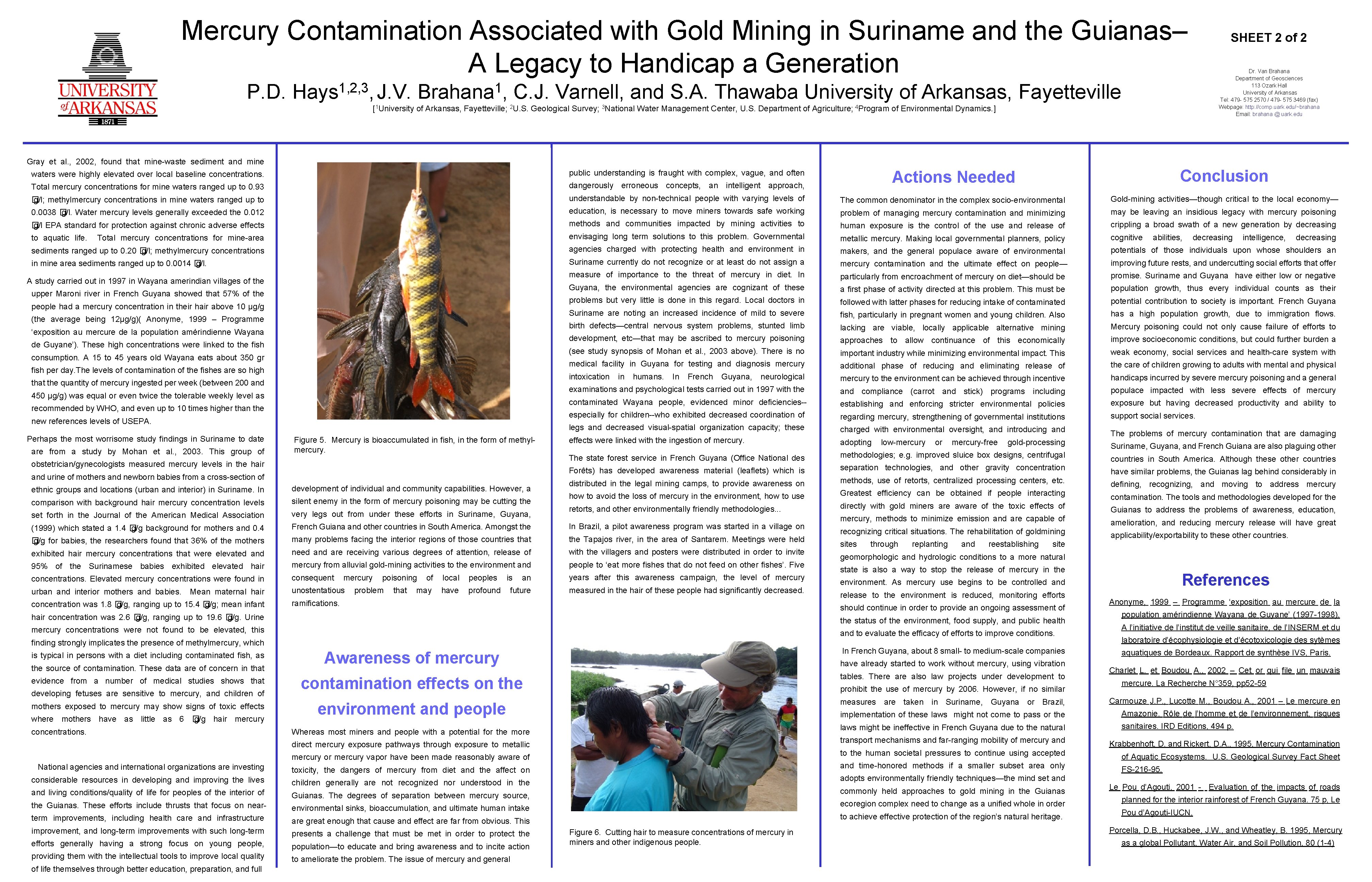 Mercury Contamination Associated with Gold Mining in Suriname and the Guianas– A Legacy to