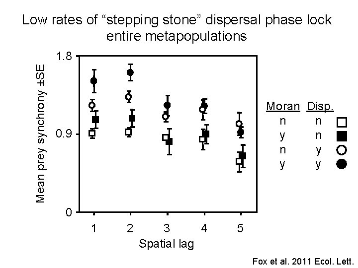 Low rates of “stepping stone” dispersal phase lock entire metapopulations Mean prey synchrony ±SE