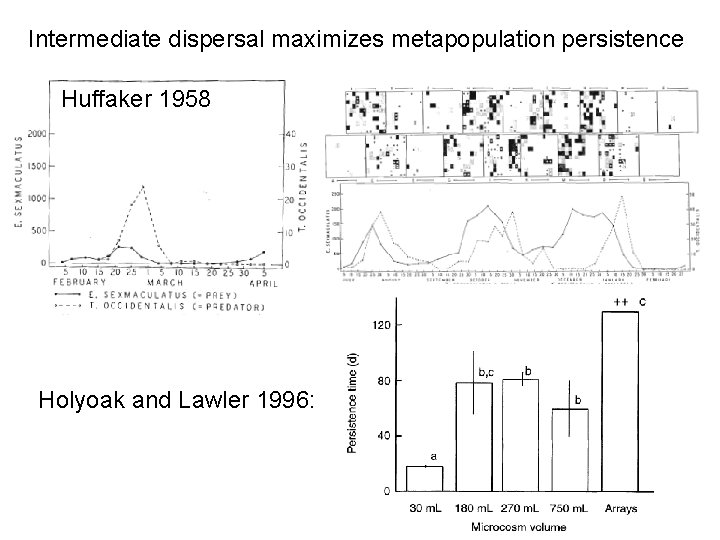 Intermediate dispersal maximizes metapopulation persistence Huffaker 1958 Holyoak and Lawler 1996: 