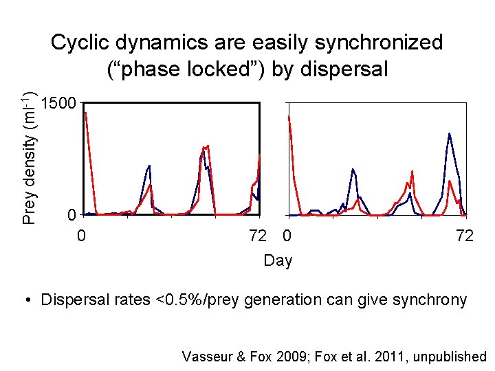 Prey density (ml-1) Cyclic dynamics are easily synchronized (“phase locked”) by dispersal 1500 0