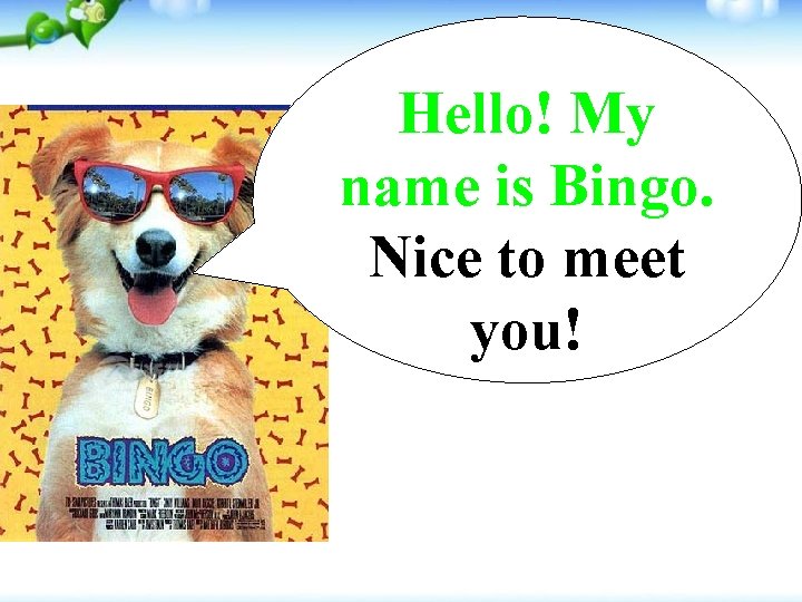 Hello! My name is Bingo. Nice to meet you! 