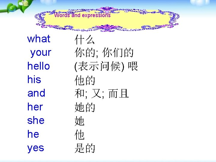 Words and expressions what your hello his and her she he yes 什么 你的;