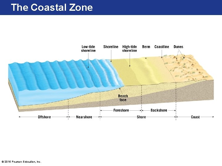 The Coastal Zone © 2015 Pearson Education, Inc. The Coastal Zone © 2015 Pearson Education, Inc.