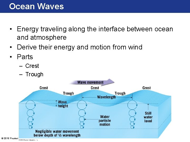 Ocean Waves • Energy traveling along the interface between ocean and atmosphere • Derive Ocean Waves • Energy traveling along the interface between ocean and atmosphere • Derive