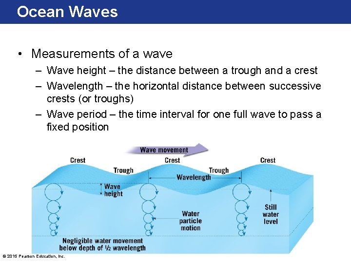 Ocean Waves • Measurements of a wave – Wave height – the distance between Ocean Waves • Measurements of a wave – Wave height – the distance between