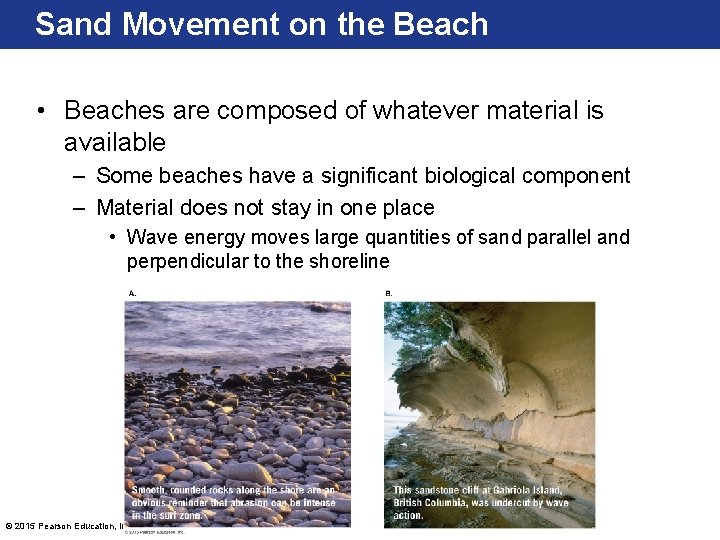 Sand Movement on the Beach • Beaches are composed of whatever material is available Sand Movement on the Beach • Beaches are composed of whatever material is available